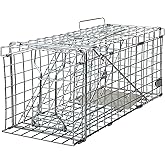 Gingbau Squirrel Trap Foldable Heavy Duty Humane Live Animal Cage Trap (Not for Mouse)