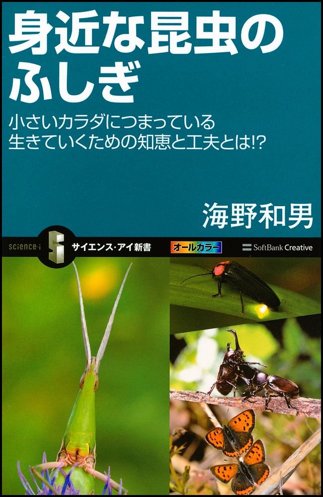 身近な昆虫のふしぎ 小さいカラダにつまっている生きていくための知恵と工夫とは サイエンス アイ新書 海野 和男 本 通販 Amazon