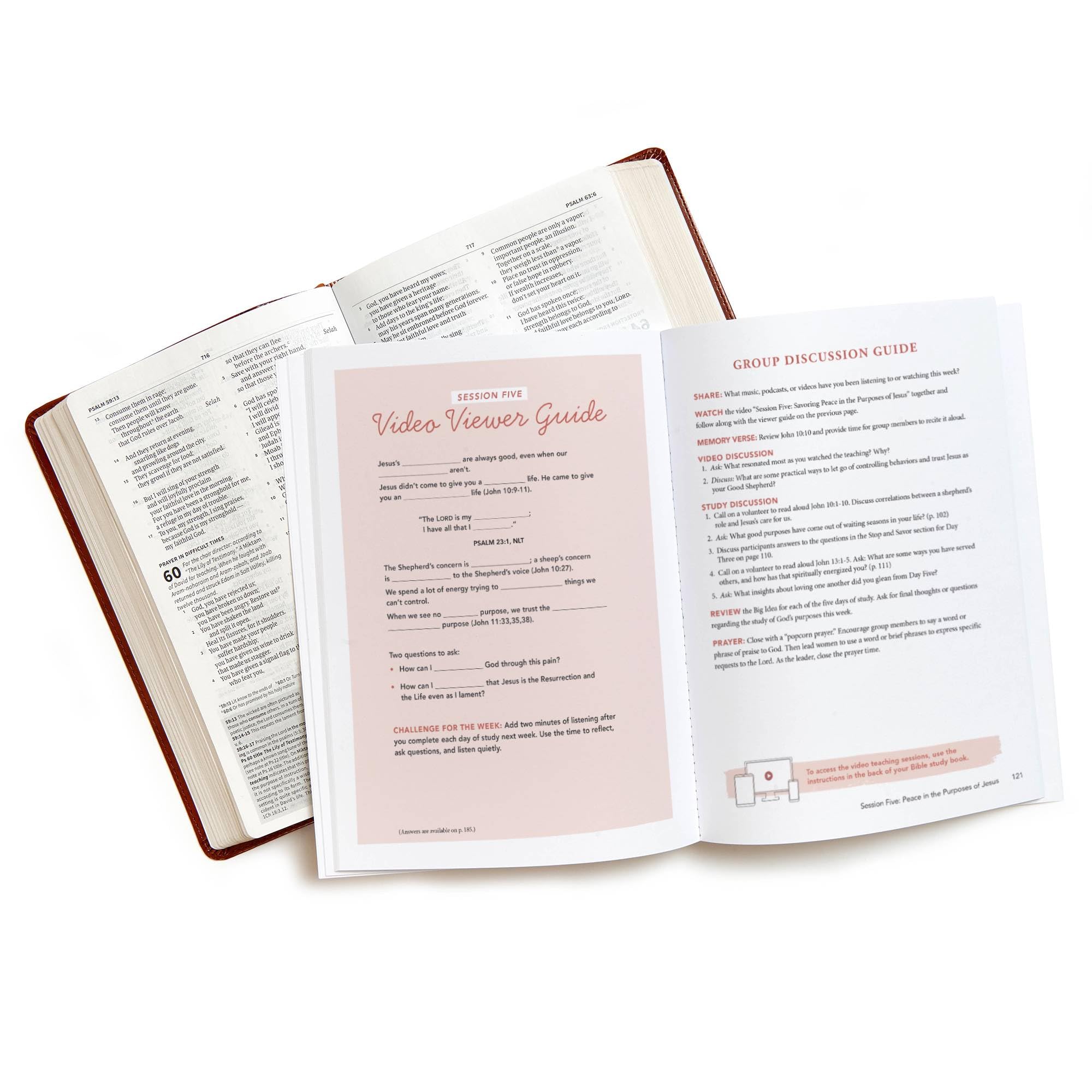 The Gospel of John - Bible Study for Women with Video Access: Savoring the Peace of Jesus in a Chaotic World