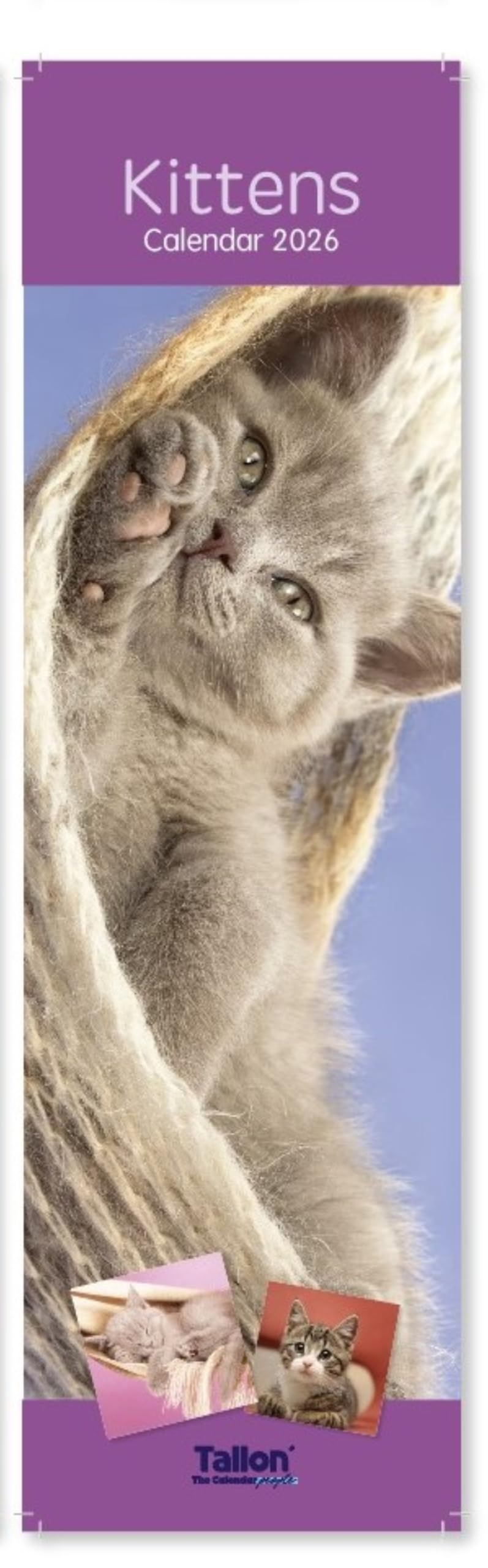 2026 Super Slim Month To View Spiral Bound Photo Wall Calendar (Kittens)