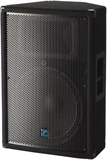 300 watt 15 inch speaker