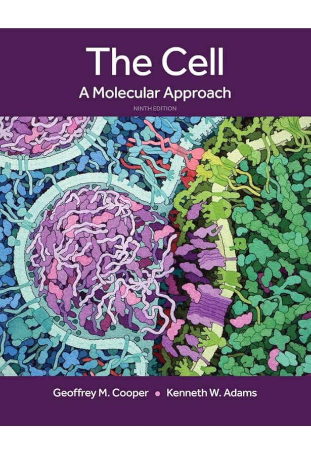 Amazon.com: The Cell: A Molecular Approach: 9781605352909