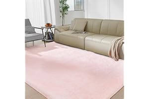 FAIRBLINK Fluffy Cute Rug for Living Bedroom, Pink Fluffy Soft Plush Area Rugs for Girls Bedroom, Fuzzy Nursery Rug for Baby's Toddler's，Clorful Room Decor for Teenage, Easy-Cleaning, Non Shedding, 3X4