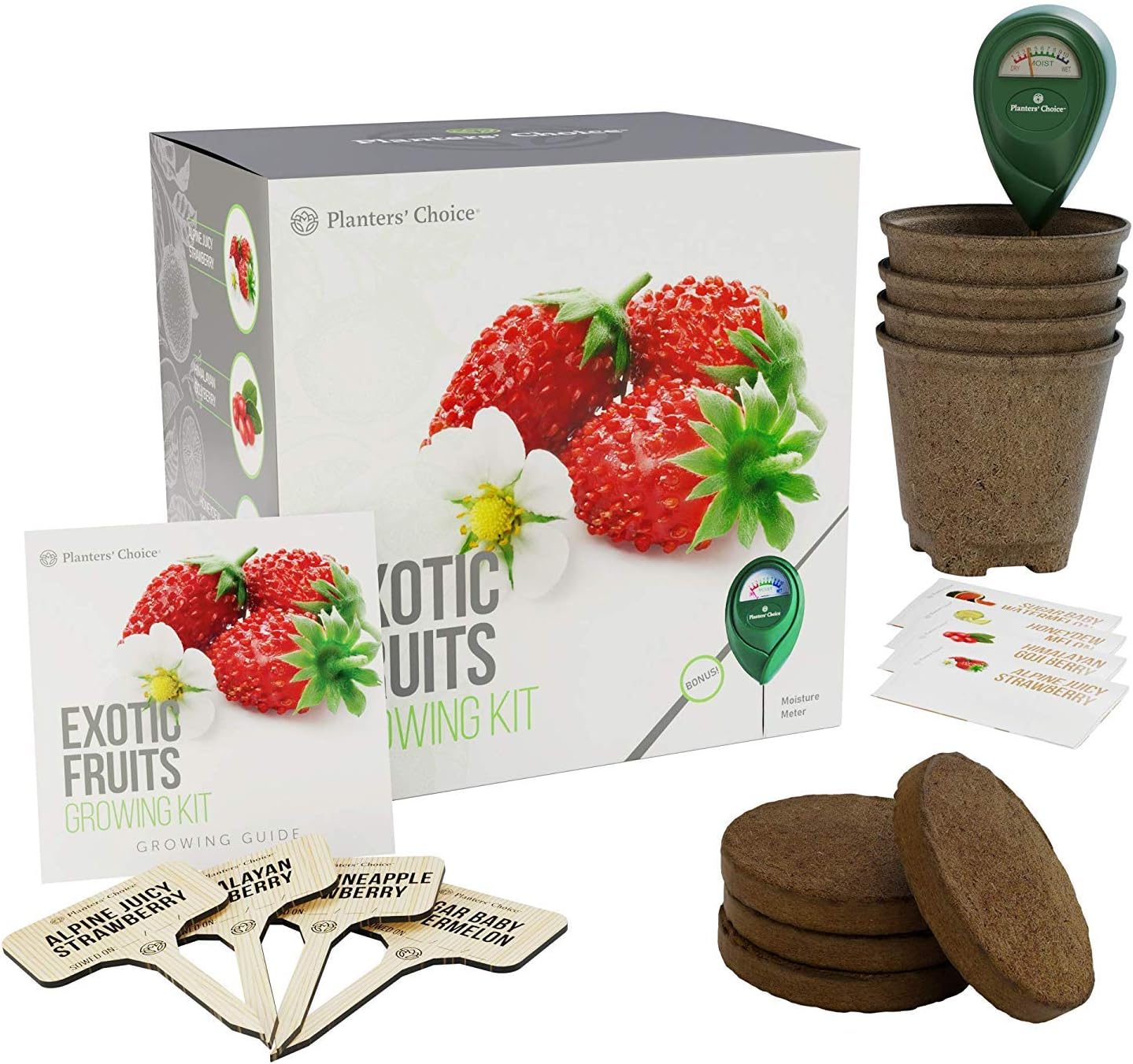 Kit de Cultivo de Frutas Exóticas: Todo Incluido para Cultivar ...