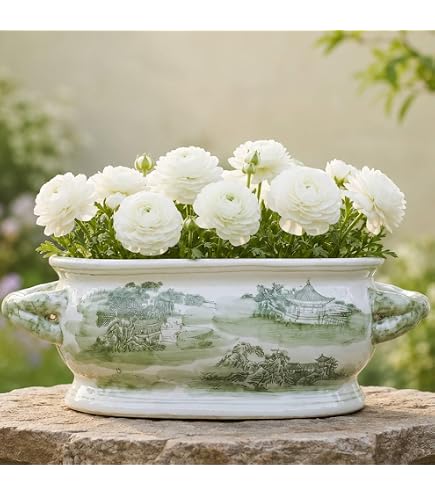 ブロッターアート White on White 4枚セット繊細加工 【匿名配送】 Amazon.com : Creative Co-Op Terra-Cotta Cachepot, White : Home