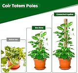 Mactoou Moss Pole 4-Pack 41cm Coir Moss Poles for Monstera Climbing Plants view 3