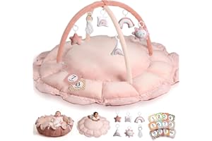 HAN-MM 5-in-1 Convertible Baby Play Gym with 6 Toys, Tummy Time Mat for Sensory Development, Baby Activity Center from Newborn to Toddler, Ball Pit, Soft Plush Pet Mat, Pink