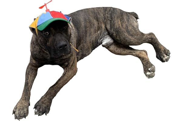 Amazon Best Sellers: Best Dog Hats