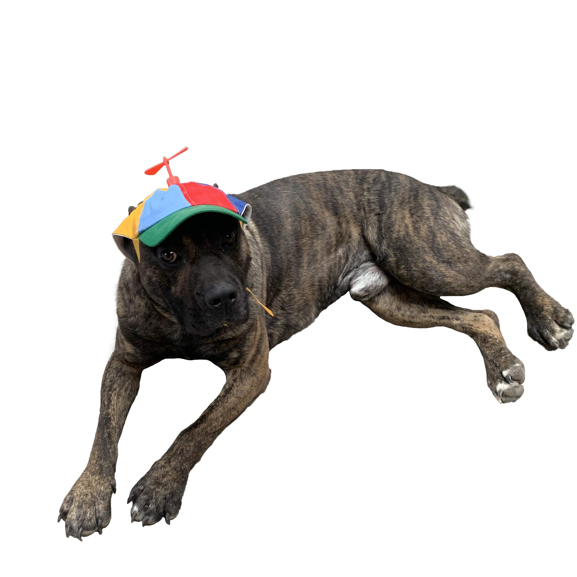 GEANBAYE Dog Hats with Funny Propeller, Size and Rope Double Adjustment Pet Hats for Small Middle and Large Dog (Iridescent)