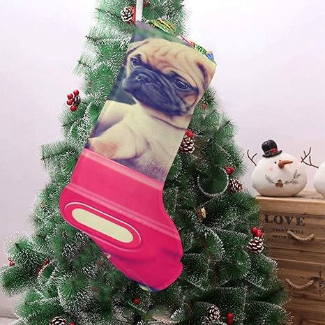 Tres Pug Chihuahua Mix Chug Cachorros en un rojo W Hombre Calcetín de