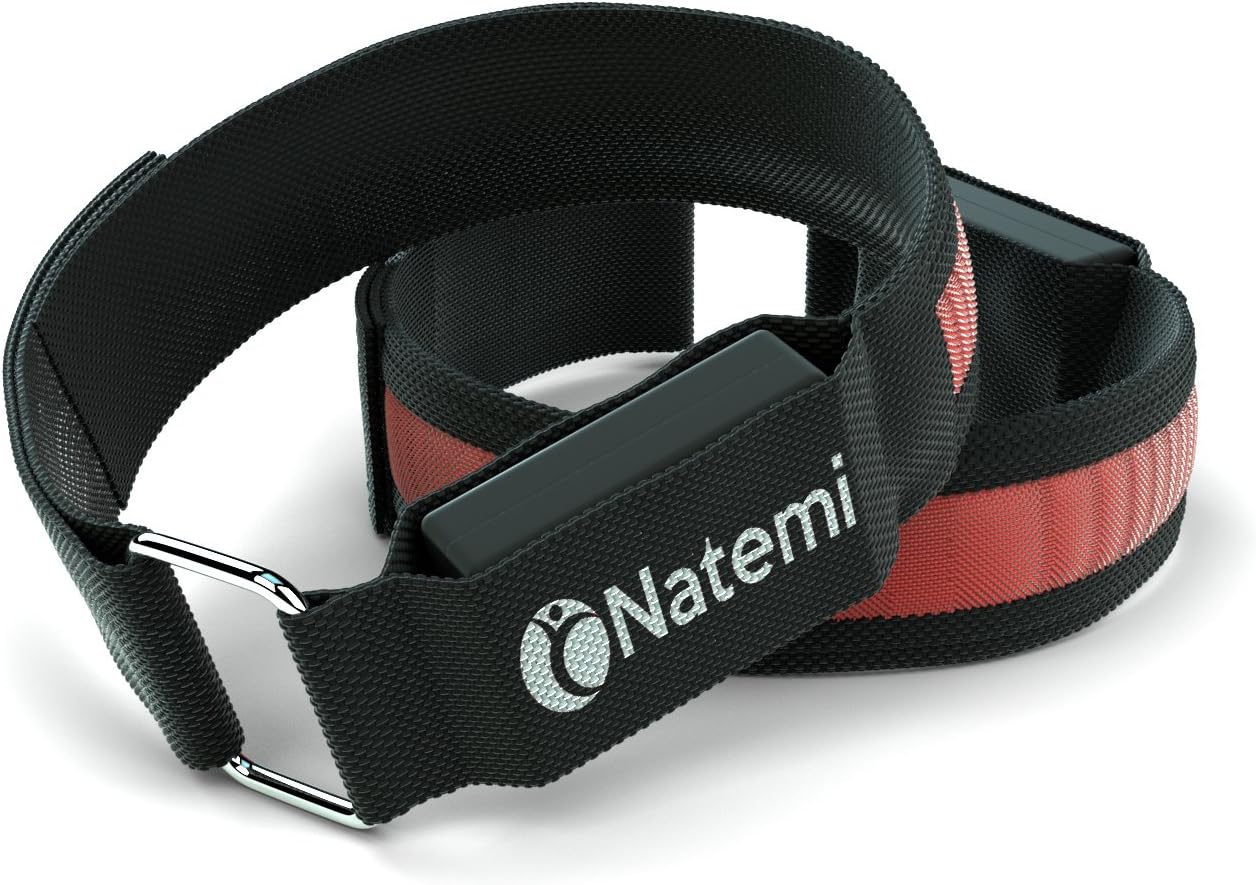 Top Rated Bright LED Armband Running Gear (2 Pack