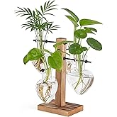 Mkono Heart Shaped Propagation Station with Wood Stand, Glass Hydroponic Planter Desktop Plant Terrarium for Home Office Decor, Gifts for Plant Lovers - 4 Love Bulb Pot Vase