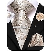 Hi-Tie Mens Paisley Floral Striped Ties Set Silk Necktie and Lapel Pin for Men Pocket Square Cufflinks Set Business Wedding