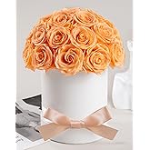 27 Forever Roses Dome in Luxury White Box, Eternal Real Roses Birthday Gifts for Women, Preserved Flowers for Delivery Prime, Anniversary, Valentine's Day, Mothers Day for Mom (Champagne)