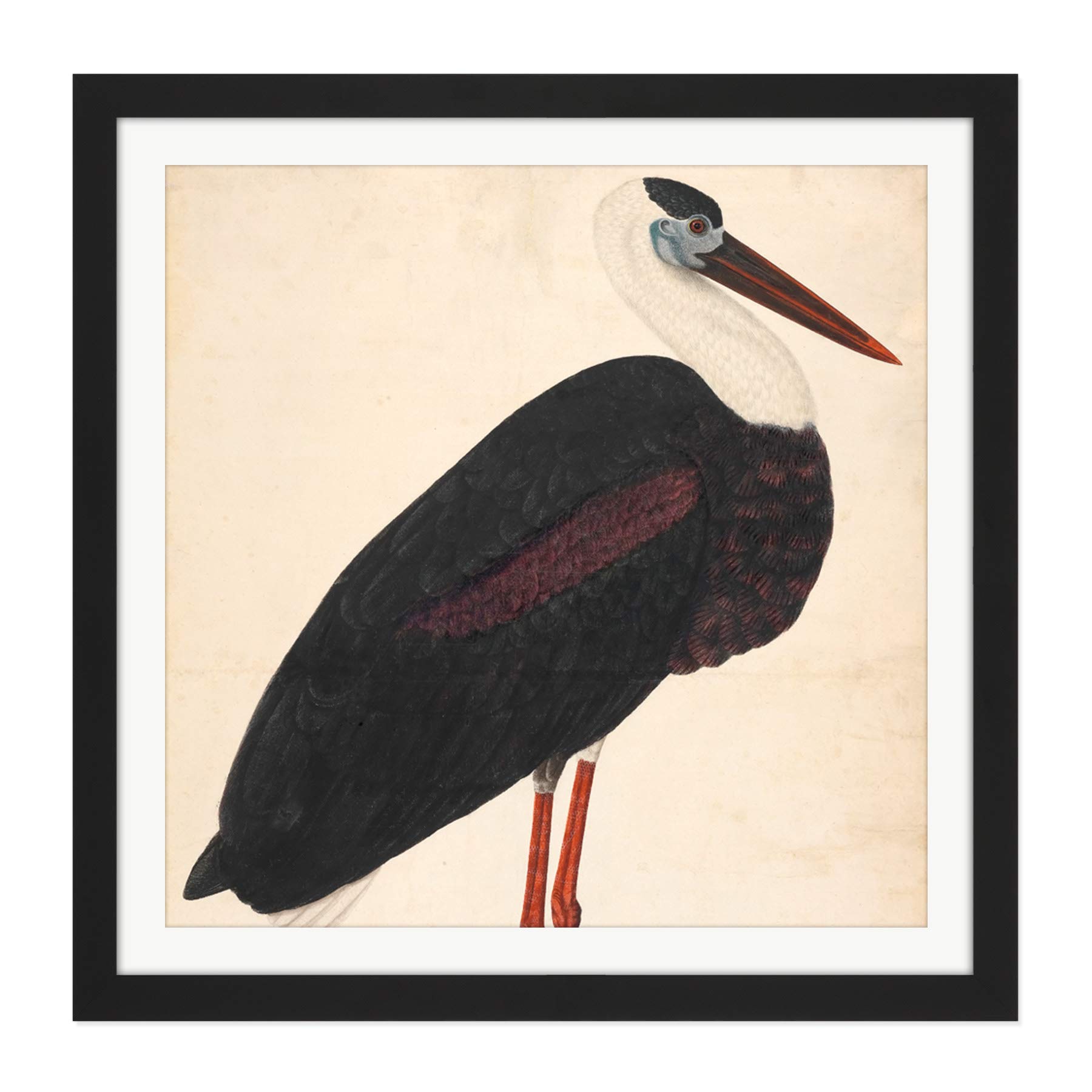 Artery8 Black Stork In A Landscape Indian Watercolour Bird Painting Square Wooden Framed Wall Art Print Picture 16X16 Inch