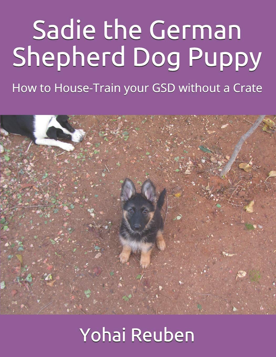 Sadie The German Shepherd Dog Puppy How To House Train Your Gsd Without A Crate Sadie The Gsd Band 1 Amazon De Reuben Yohai Fremdsprachige Bucher