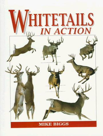Whitetails in Action