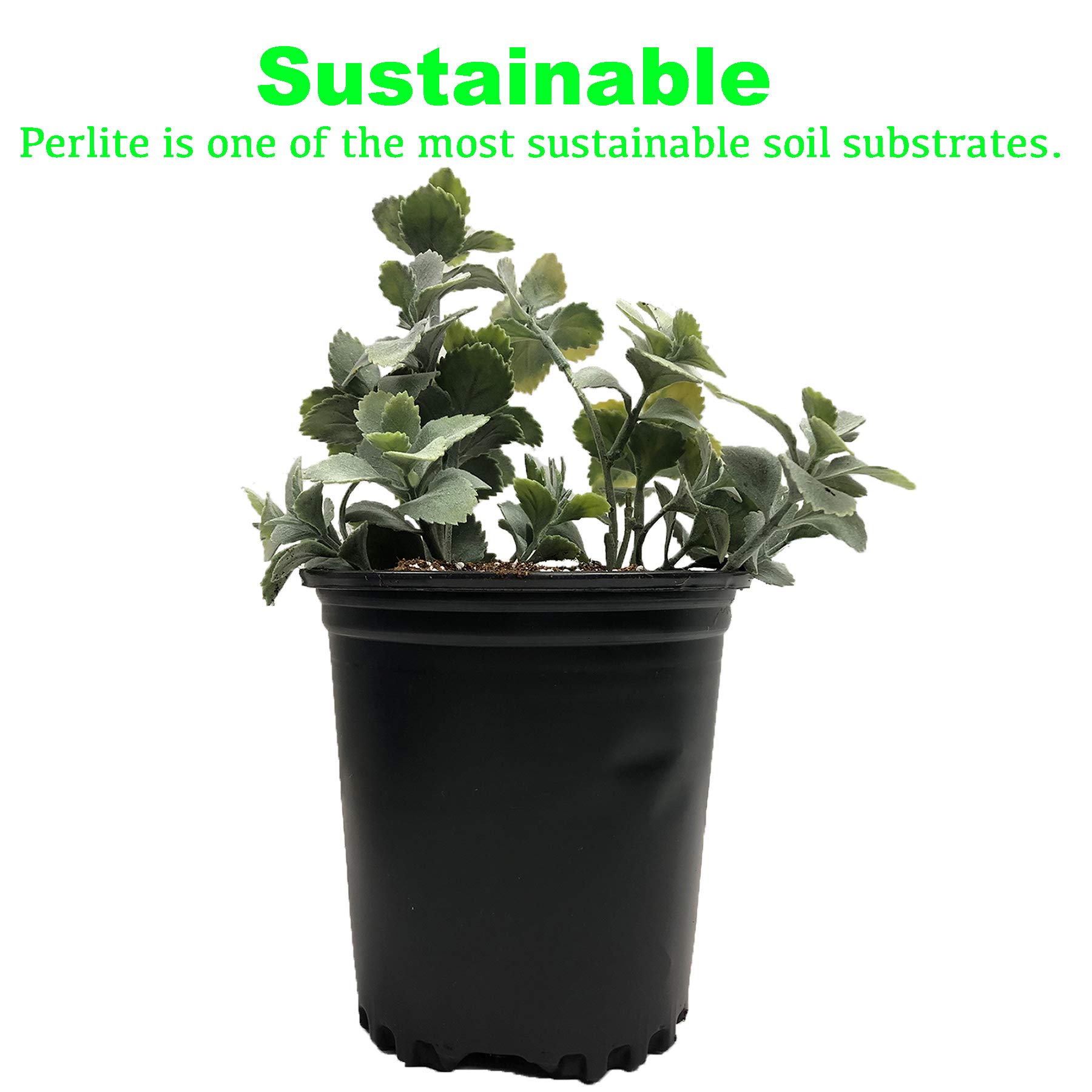 https://images-na.ssl-images-amazon.com/images/I/71QKamUq-NL.jpg