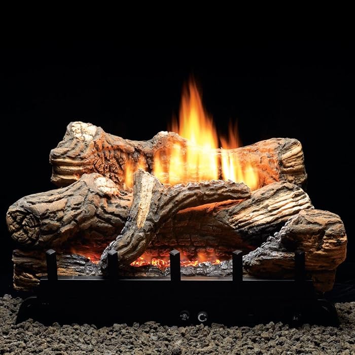 Top 9 Natural Gas Fireplace For The Home Vent Free