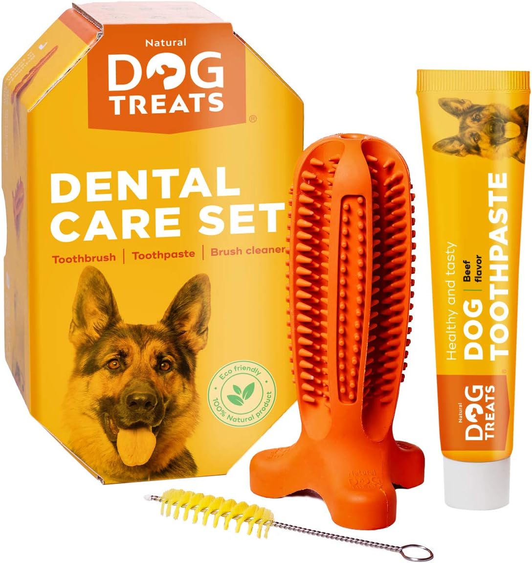 Natural Dog Treats Toothbrush Stick and Toothpaste Beef