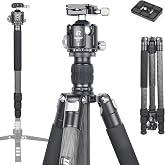 Carbon Fiber Tripod-INNOREL RT75C Super Professional Tripod Monopod Heavy Duty Stand Support Low Gravity Center 360&deg;Panoramic ballhead for Digital DSLR Camera Black