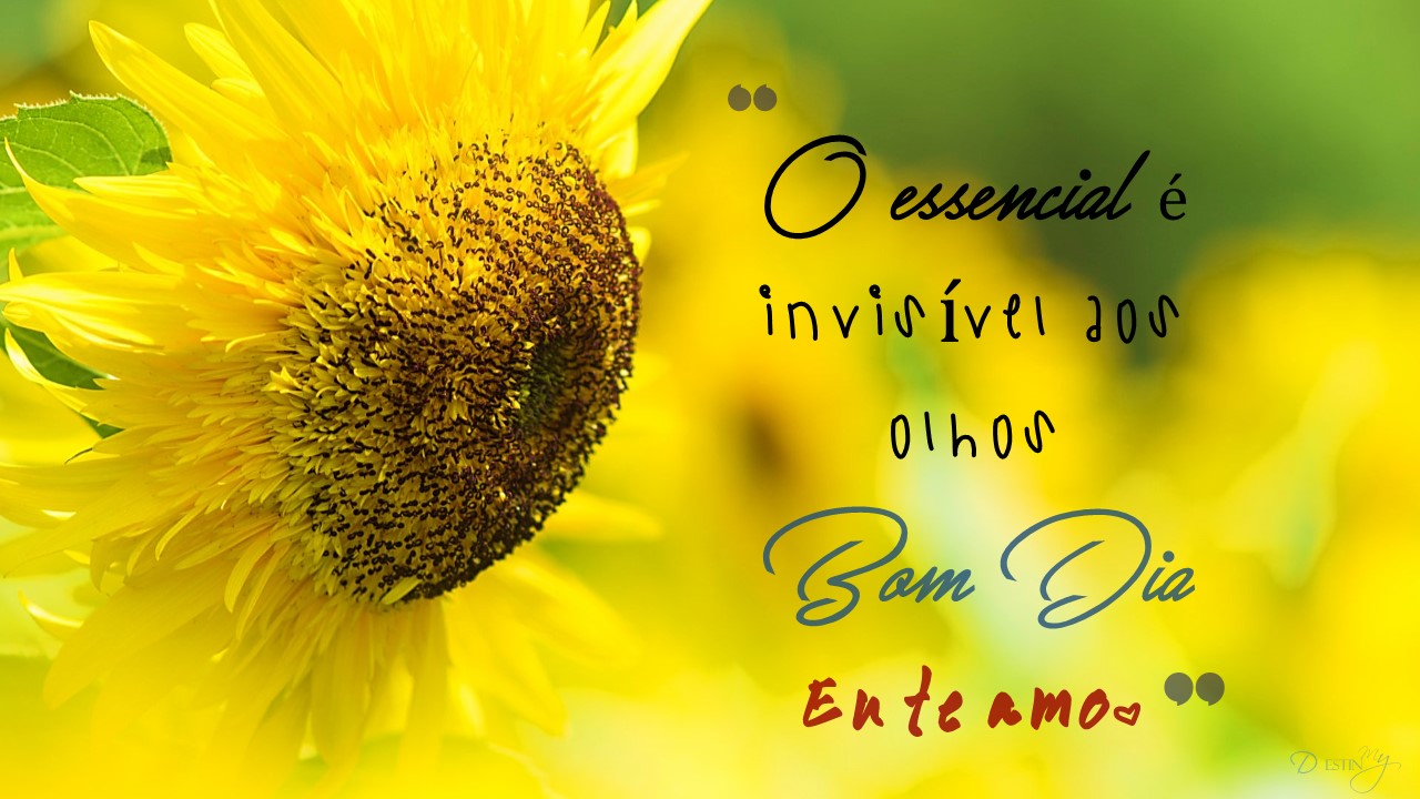 Hansine Kleist Good Morning Flowers For Her In Portuguese / Good