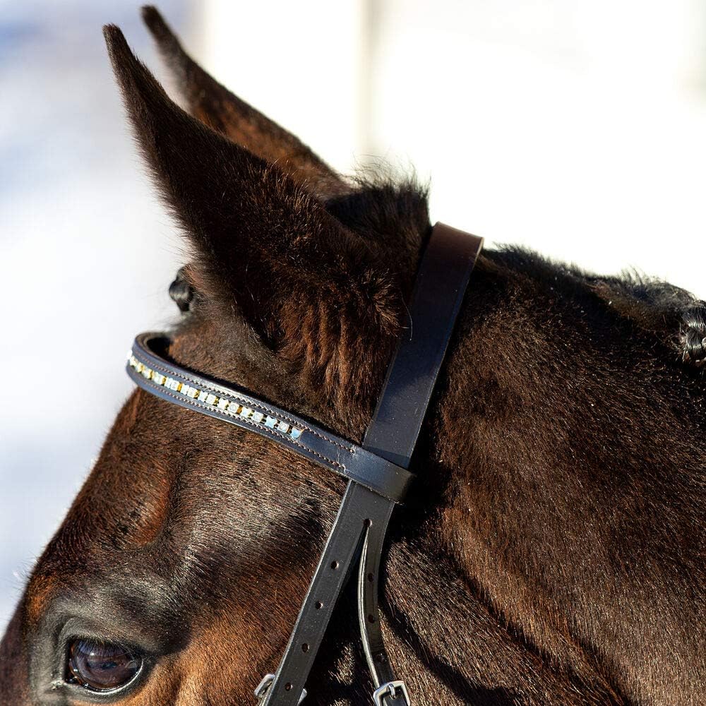 HORZE Weston Flash Bridle w/Reins: Sports & Outdoors