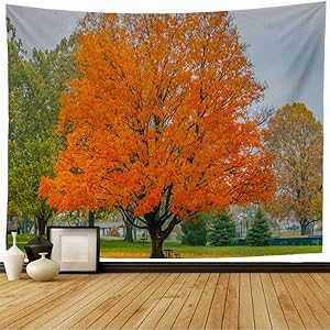 Tapestry Colorful Aspen Foliage Woods Red State Oklahoma Fall United States Nature Parks Green Autumn Cabin Tapestry Wall Hanging Blanket Wall Bedroom Decor 80x60 Inch