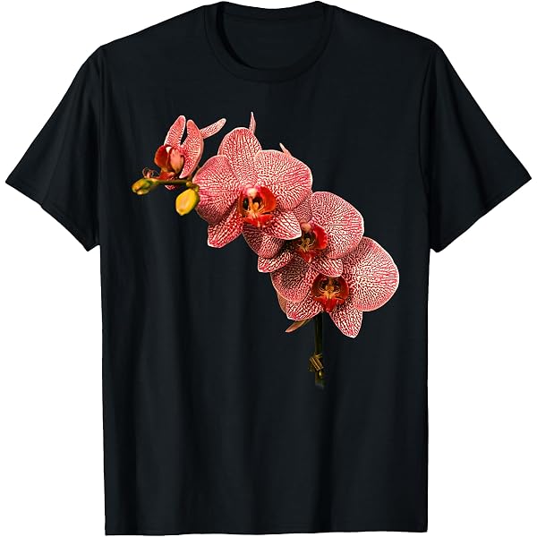 Amazon.com: Black and White Orchid men and Orchid womens T-Shirt