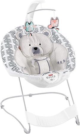 fisher price see and soothe bouncer