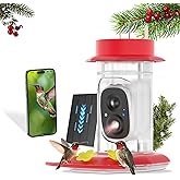 Solar Powered Professional Hummingbird Feeder with Camera - AI Bird Identification, 2K Video, Outdoor Hanging, Bird Watching Gift