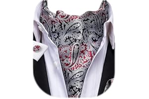 Dubulle Paisley Floral Ascot for Men Self Tie Mens Cravat and Pocket Square Cufflinks Wedding