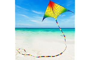 Lanrui Delta Beginner Kite for Kids & Adults, Easy to Fly Beach Kite