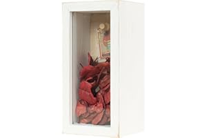 Increased Fire Shadow Box Frame 3x6 Shadow Box Display Case with Linen Back of Awards Memorabilia Flower, Pictures, Keepsakes、Bouquet、Medals and More Photos Memory Box White