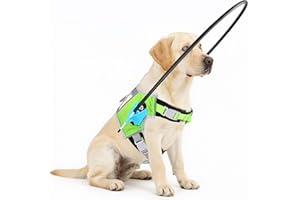 [Updated] LetPetRun Blind Dog Halo Harness, Protective Halo Collar with Reflective Straps, Confidence Building Guiding Device Adjustable Size, Blind Dog Accessories, M