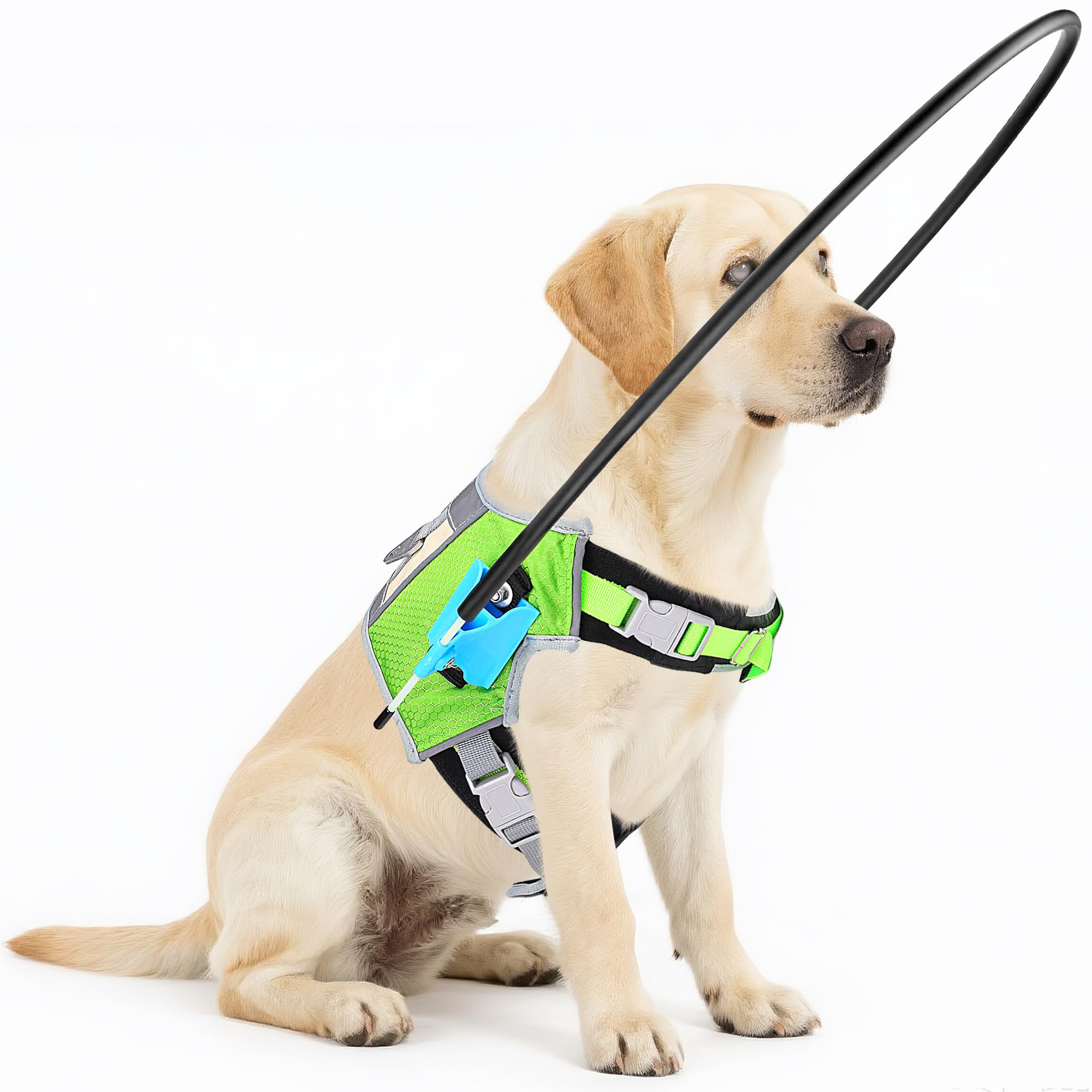 Photo 1 of [Updated] LetPetRun Blind Dog Halo Harness, Protective Halo Collar with Reflective Straps, Confidence Building Guiding Device Adjustable Size, Blind Dog Accessories, XS