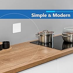 LIDER Double Blank Wall Plate, Temperature and