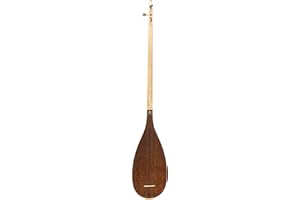 Persian Tanbur, Tamboor, Tambur with soft bag