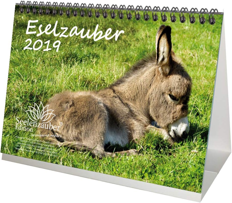 Donkey Magic – DIN A5 – Premium Desktop Calendar/2019 – Donkey – Pony Calendar – Horses – Horse Riding Foal Stallion. Mare; Gift Set with 1 Greeting Card – Christmas Card Edition and Soul Magic
