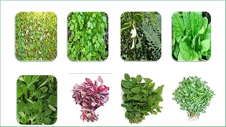 8 Variety Combo Spinach Seeds/Combo Leaf Vegetable Seeds (3400+ Seeds)