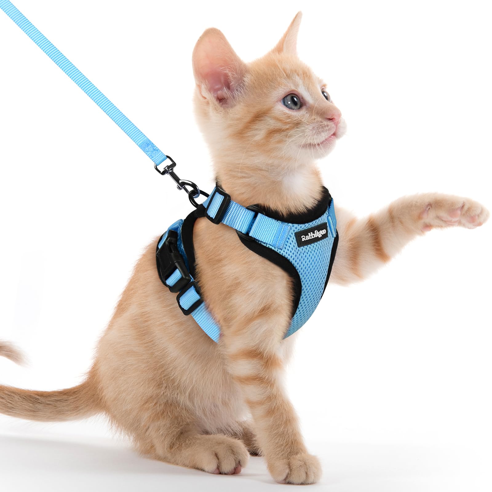 rabbitgoo Cat Harness and Lead Set, Adjustable Escape Proof Cat Lead for Walking, Reflective Kitten Harness Set, Soft and Comfortable for Kittens and Small Cats, Sky Blue, XXS