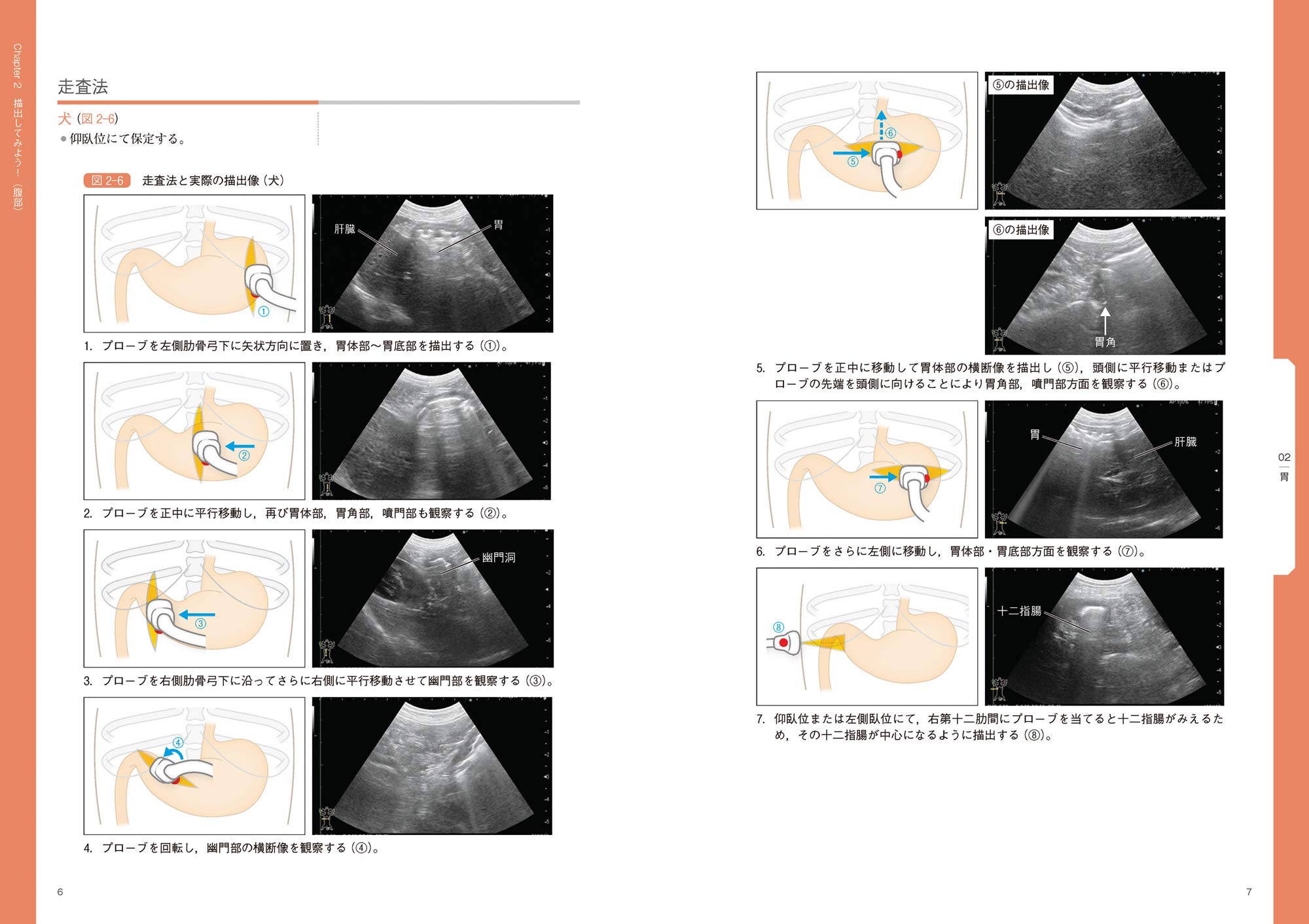 イチからはじめる犬と猫の超音波検査 華園 究 中出 哲也 本 通販 Amazon