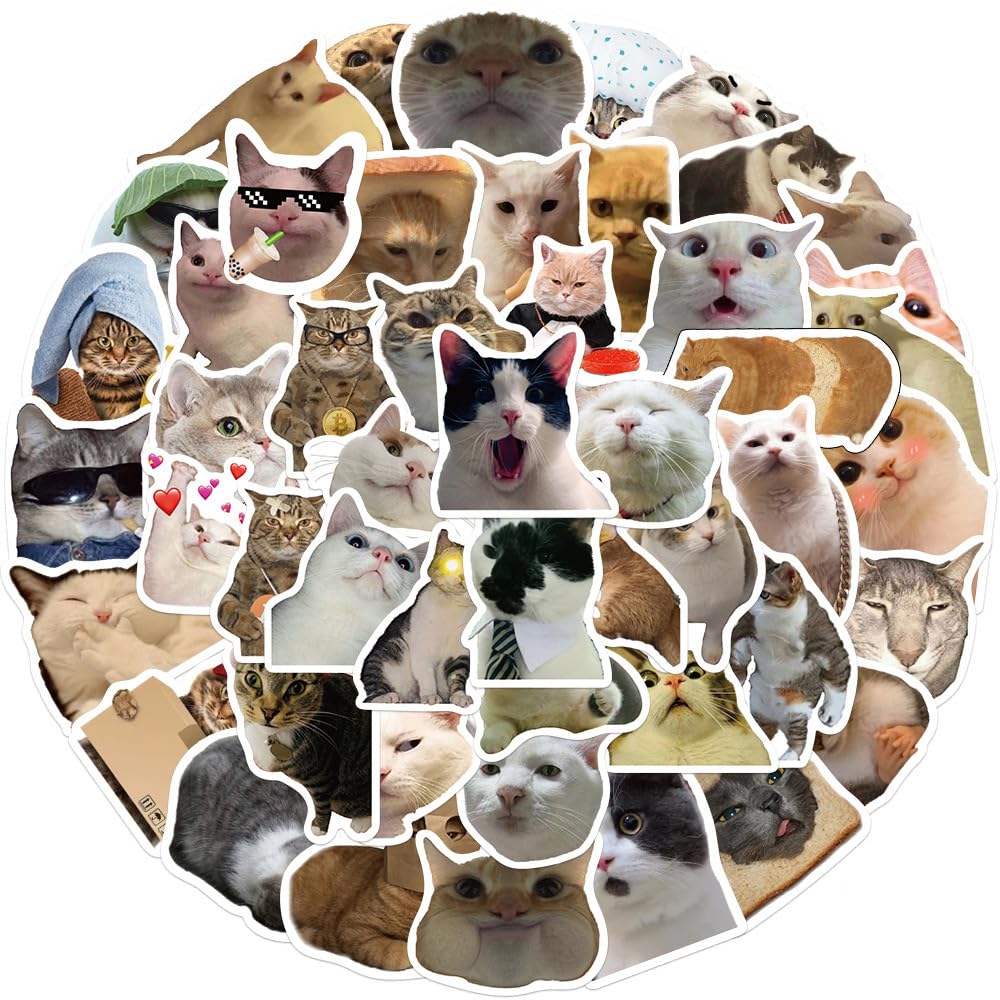 50Pcs Meme Cat Stickers Laptop Car Scrapbook Phone Skateboard Suitcase Luggage Bike Meme Cat Stickers Vinyl Waterproof Aesthetic Personalised Stickers for Teens Boys Girls Adults Children