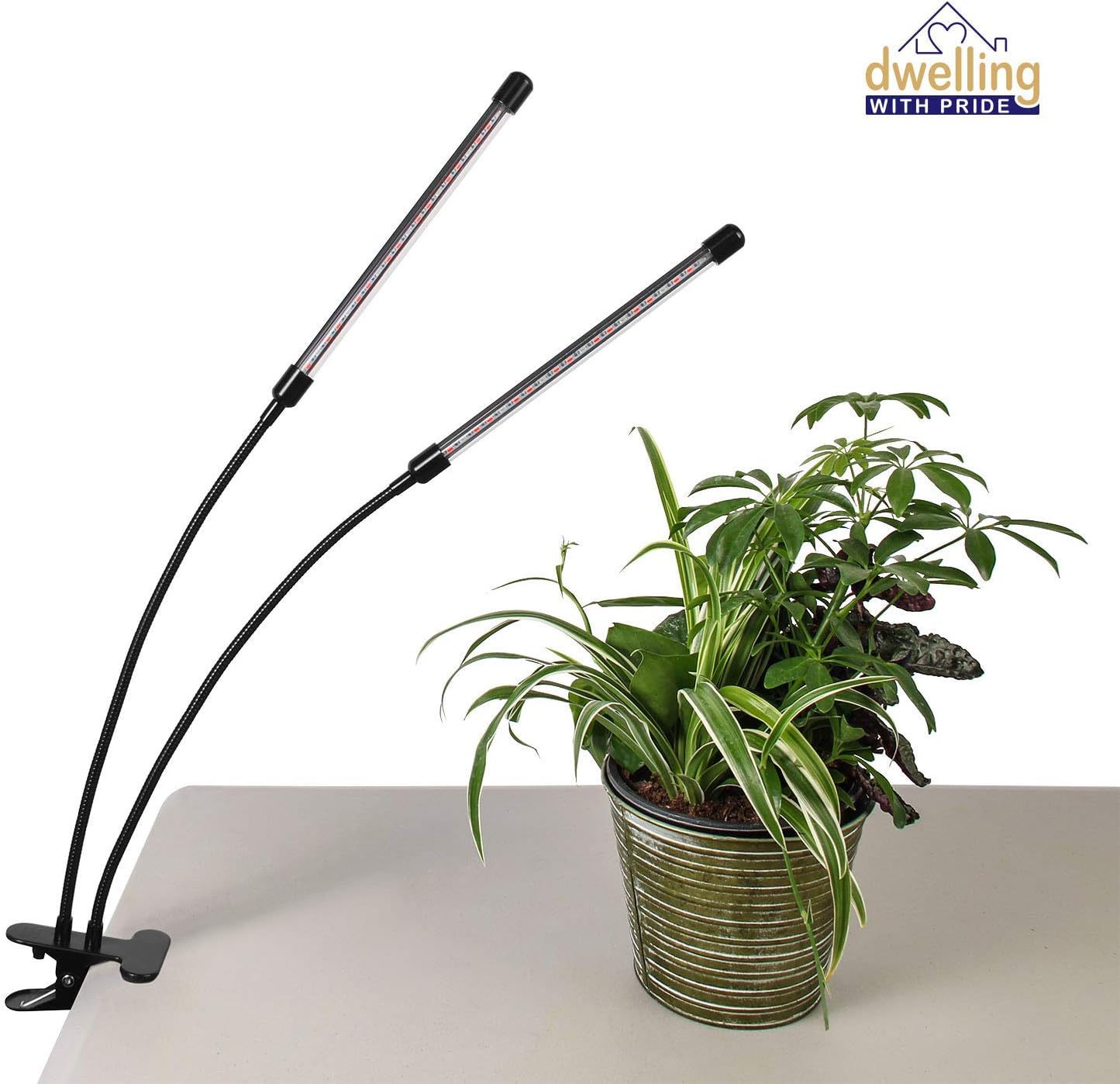 Indoor Plant Light with Red and Blue 20W LED Light Bulbs - Grow Light with Timer for Indoor Plants, Houseplants, & Succulent Plants - Greenhouse, Table, Desk Lamp with Clamp (Two Adjustable Heads)
