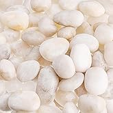 Dicunoy 6LB White River Rocks for Planters, 1-2 Inch Natural Polished Pebbles for Garden, Smooth Decorative Rock Stones for L