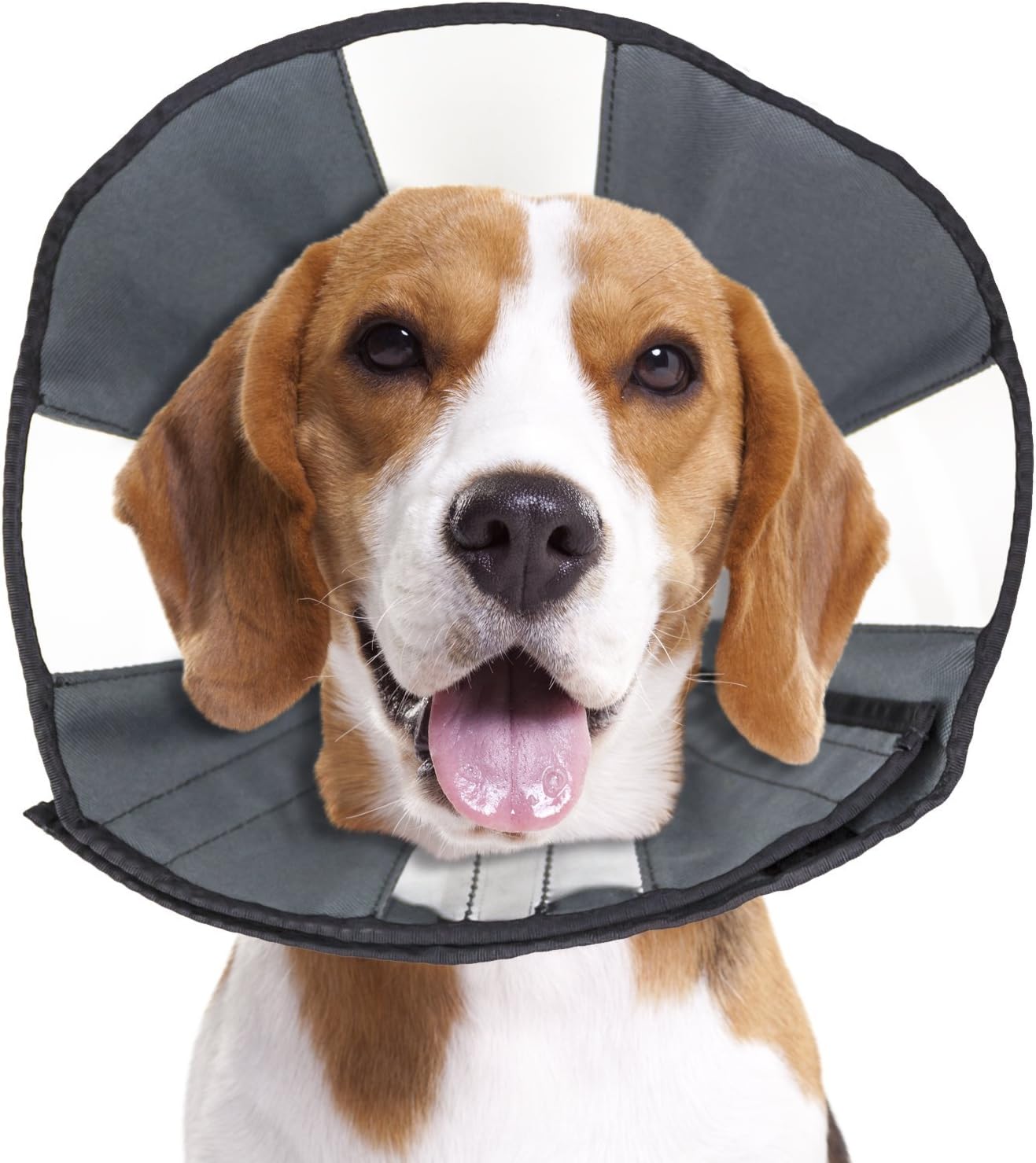 ZenPetProCone Pet E-Collar for Dogs and Cats - Comfortable Soft Recovery Collar is Adjustable for a Secure and Custom Fit - Easy for Pets to Eat and Drink - Works with Your Pet's Collar - Medium