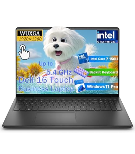 Amazon.com: Dell Inspiron 16 5645 Business Laptop, Office, 16