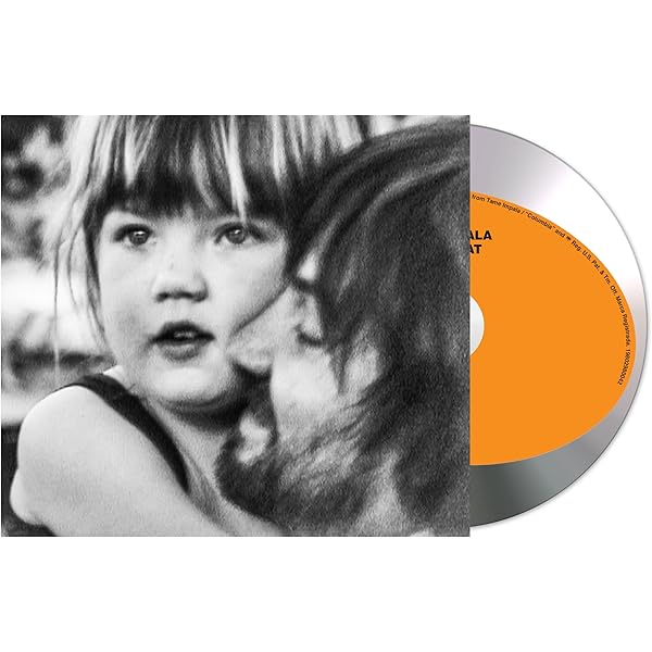 Blood Orange - Essex Honey - Amazon.com Music