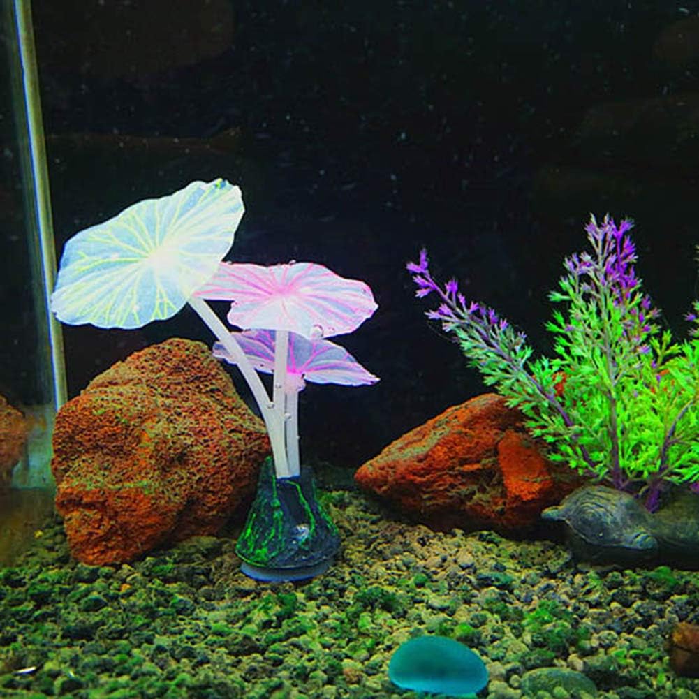 marine tank decorations