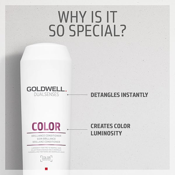 GOLDWELL DUALSENSES COLOR BRILLIANCE CONDITIONER, 10.1 FL OZ (PACK OF 1)